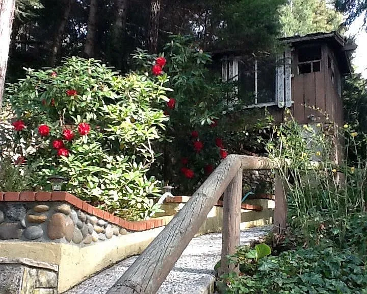 Hidden Dr — Photo 8