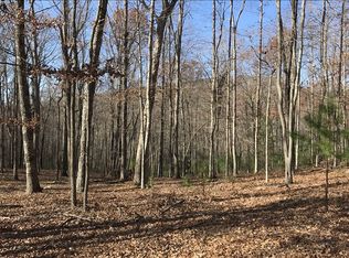 LOT38 Hunter Rdg, Morganton, GA 30560