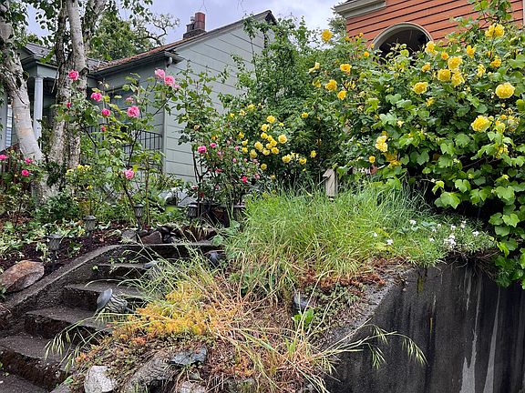 2nd image of 5524 25th Ave NE