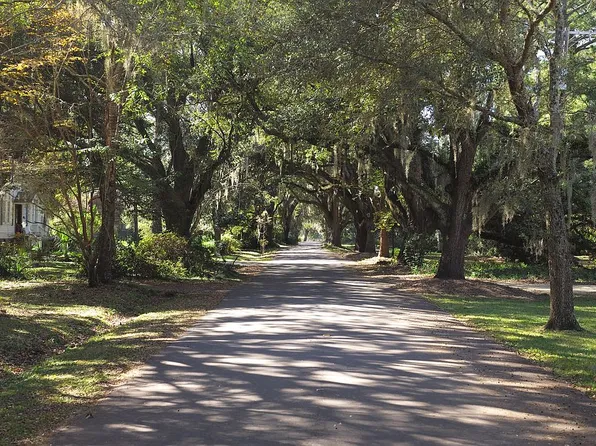 114 Scotia St, Mc Clellanville, SC 29458