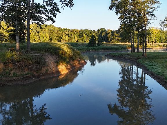 81st image of this home