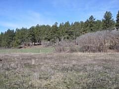 2nd image of 459 Alpine Dr