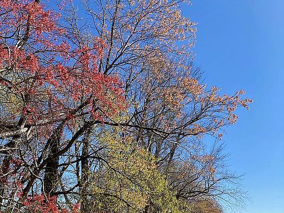 Excellent Spring color