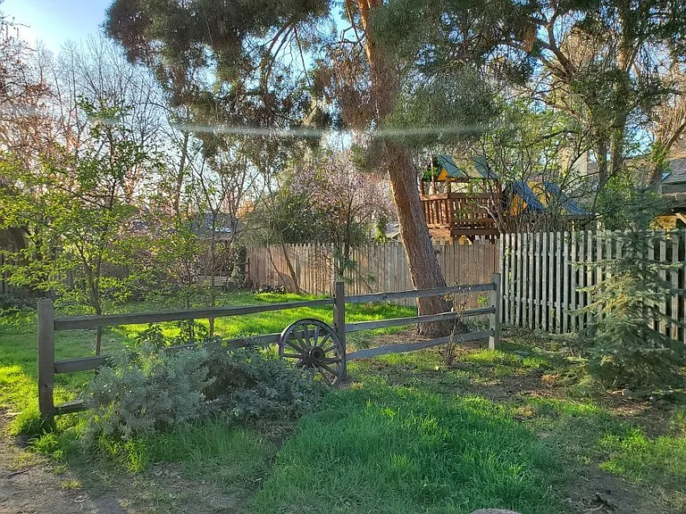 Back yard (both sides of fence)