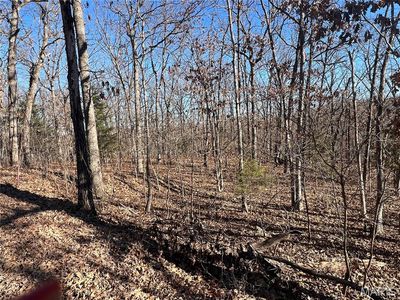 Tbd Thong Tree Rd, Camdenton, MO, 65020