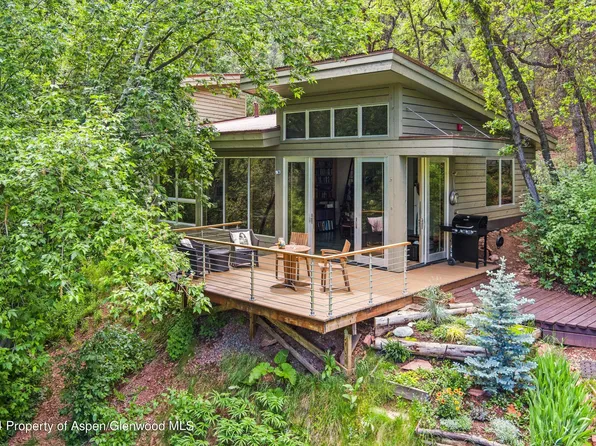 768 Kings Lake Rd, Basalt, CO 81621