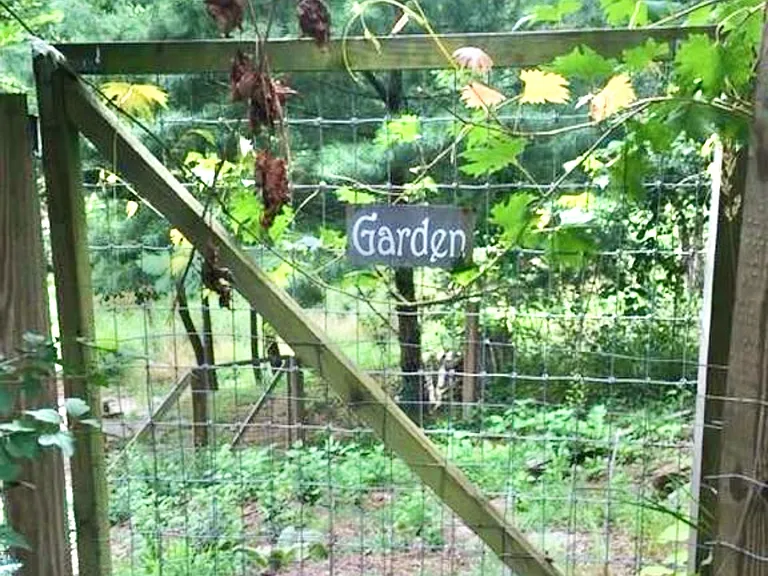109 Hamburg Mountain Rd — Photo 25