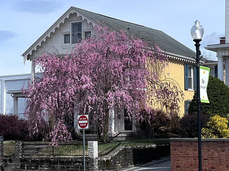 77 E Main St — Photo 4