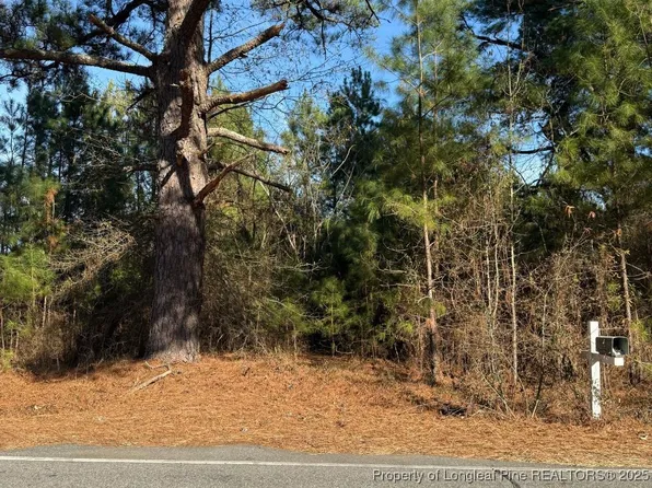 3237 Old Stage Rd S, Erwin, NC 28339