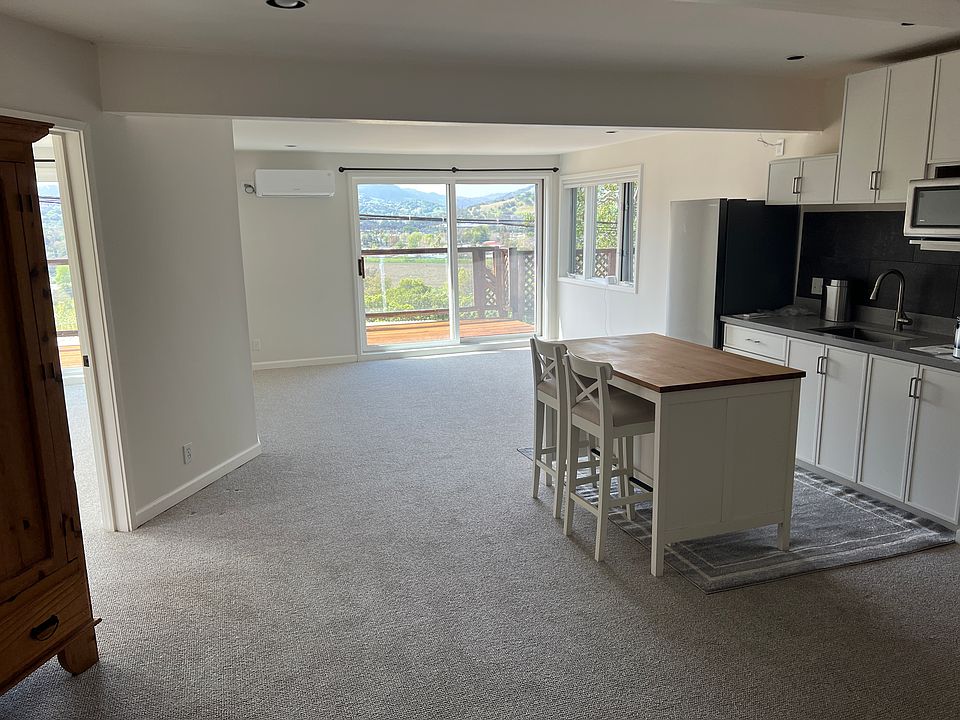 Living room / kitchenette