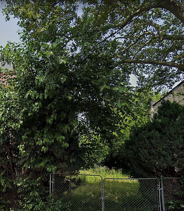 1st image of 94 Wilkinson Ave