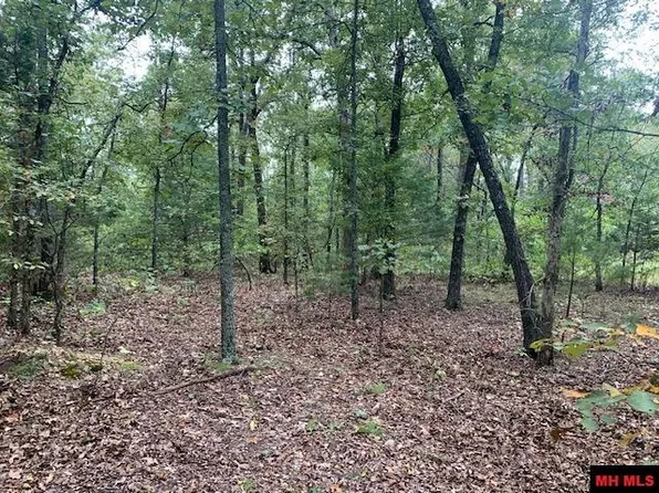 1000 Mc #4047, Yellville, AR 72687