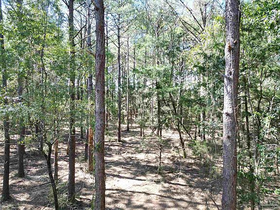 5th image of LOT 4 Rockaway Creek Rd