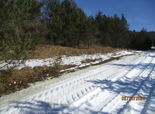 139 Gaf Lake Rd, Windsor, NY 13865