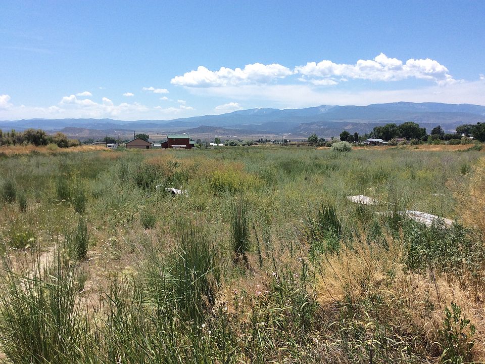 2nd image of 4501-233 County Rd