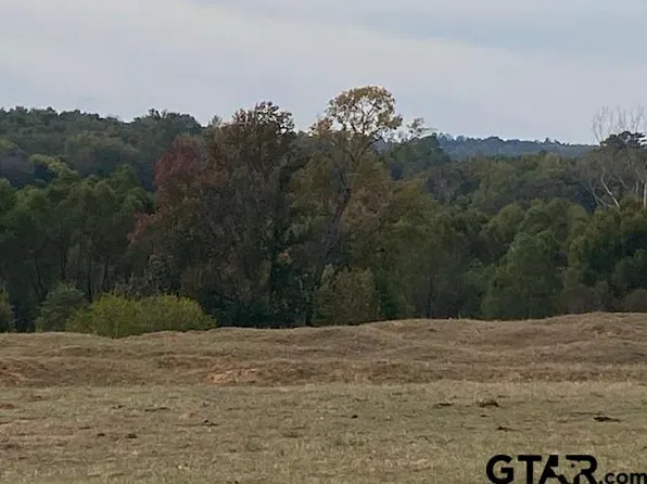 Fm 315, Palestine, TX 75803