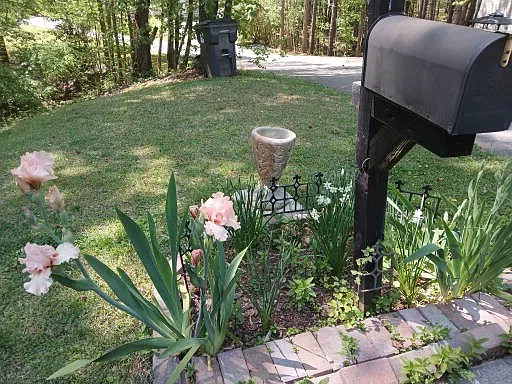 Mitzi Ct, Duluth — Photo 2