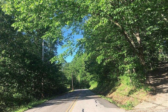 2nd image of White Wing Rd