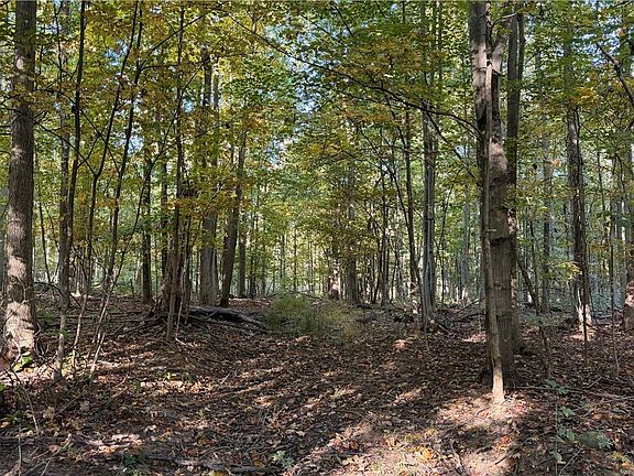 5th image of Munson Hill Rd