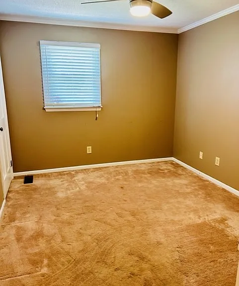 3543 Buffalo Shoals Rd — Photo 18