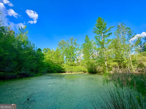 1300 Robinson St, Franklin, GA 30170