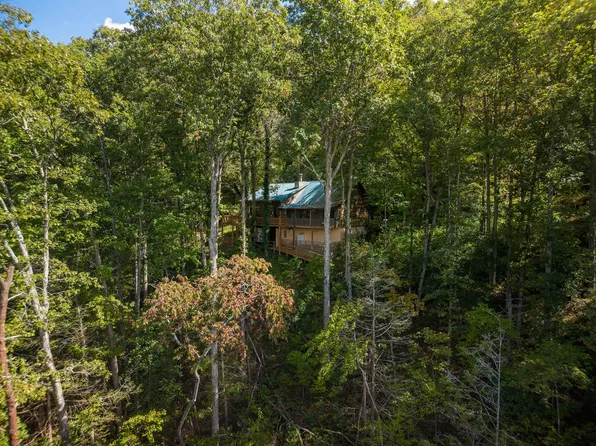 808 Mill Stone Mountain Ln, Blue Ridge, GA 30513