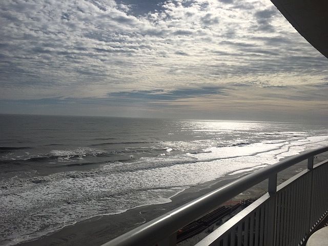1st image of 1601 Ocean Dr #1004