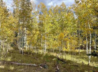 73 Buckskin Way, Cimarron, CO 81243