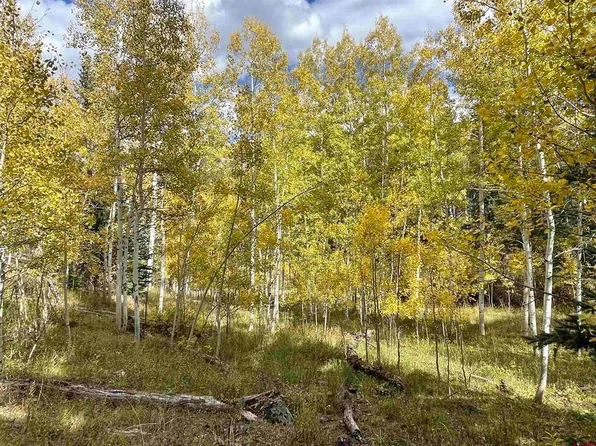 73 Buckskin Way, Cimarron, CO 81243