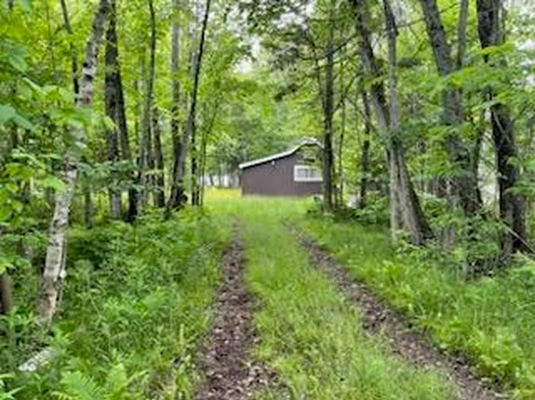 1229 County Road 135, Mc Millan, MI 49853