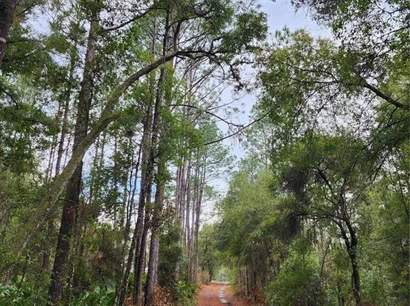 10167 N Booty Ter Lot 1, Dunnellon, FL 34433