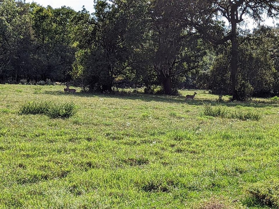 0 Texaco Rd, Thompsons, TX 77481 MLS 7713511 Zillow