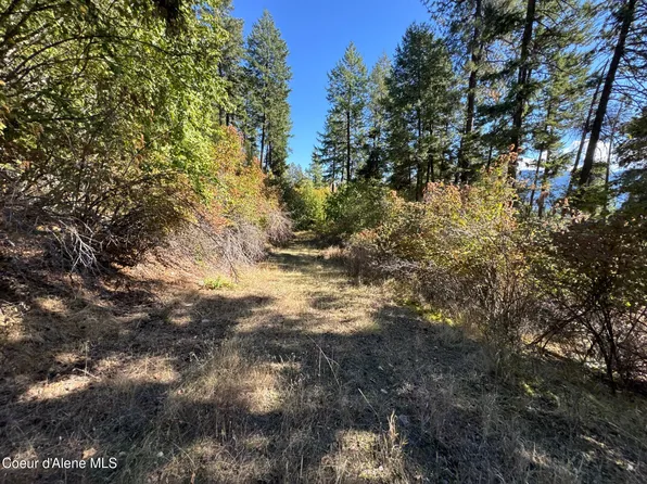 L19 & L20 N Terrace Dr, Bayview, ID 83803