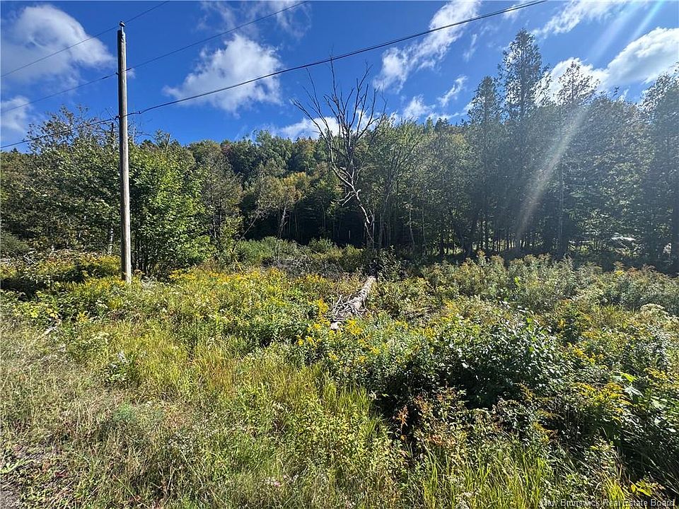 1st image of Frye Rd