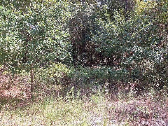 2nd image of SE County Road 234