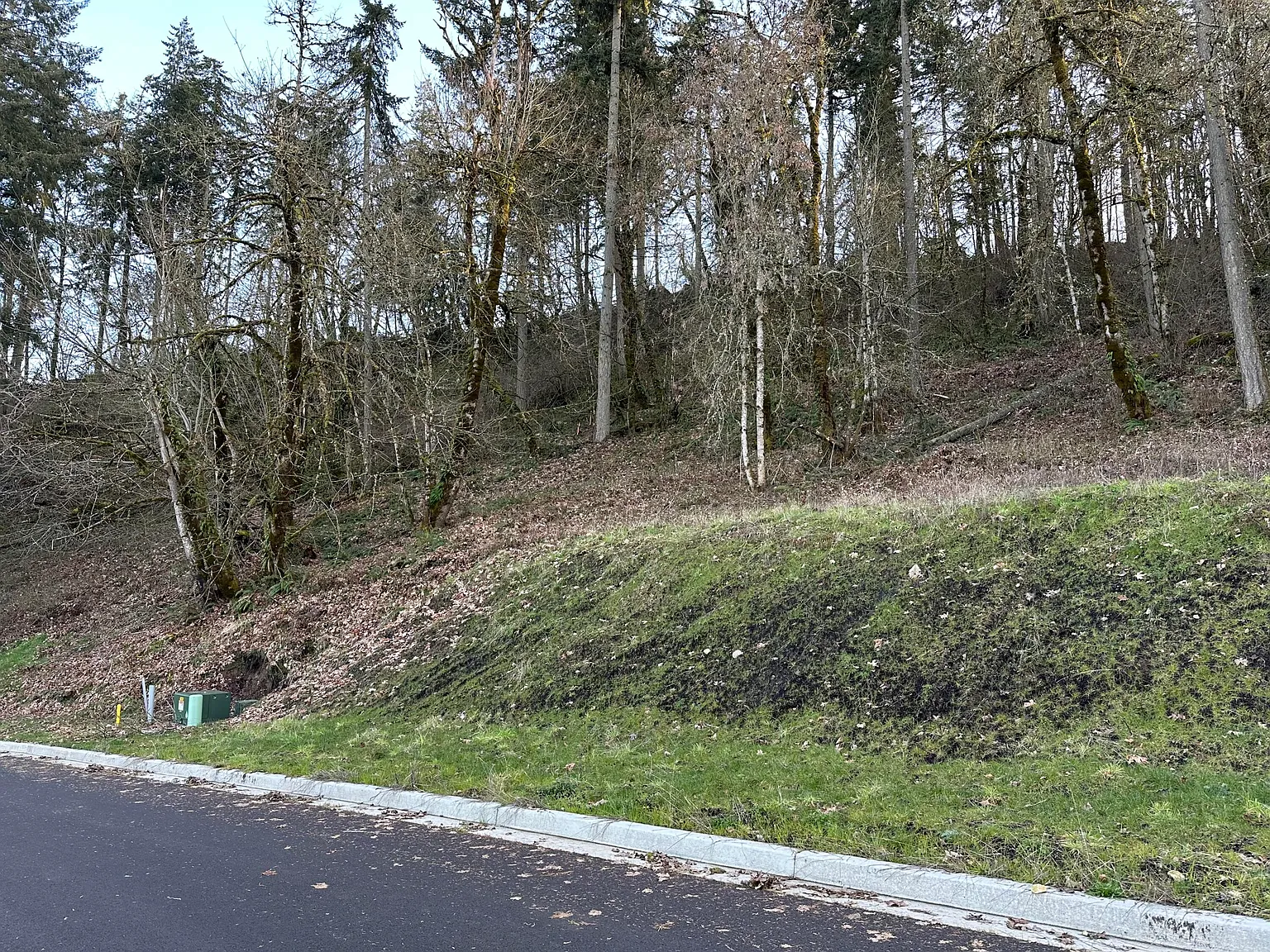 Weldon Ln #90 photo 1