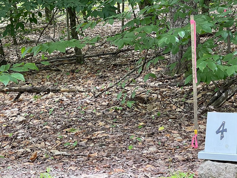 4th image of 4 Adk Acres prvt. Road (Lot 5)