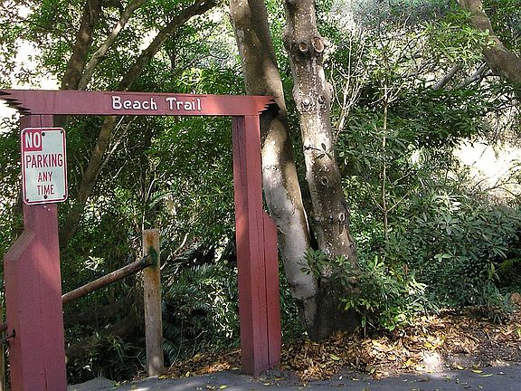 Trail to beach from parking