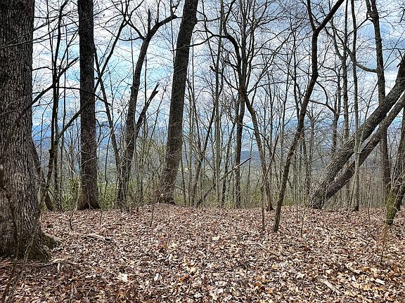 5th image of Lone Oak Rdg Lot Wp042