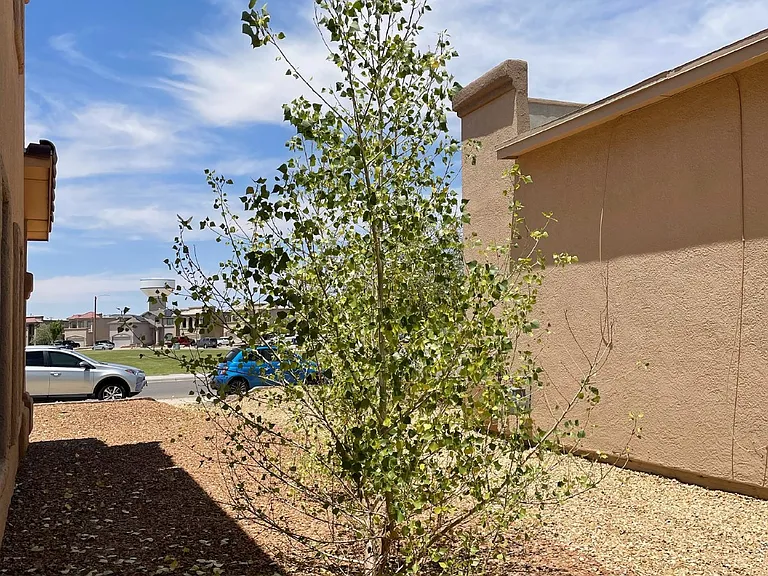 12960 Cozy Cove Ave — Photo 44