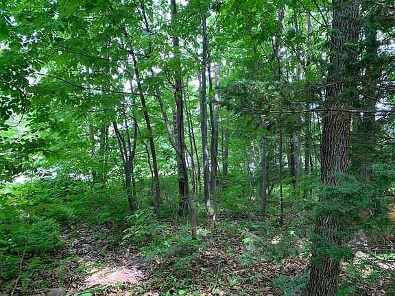 2nd image of 2607 Merganser Way