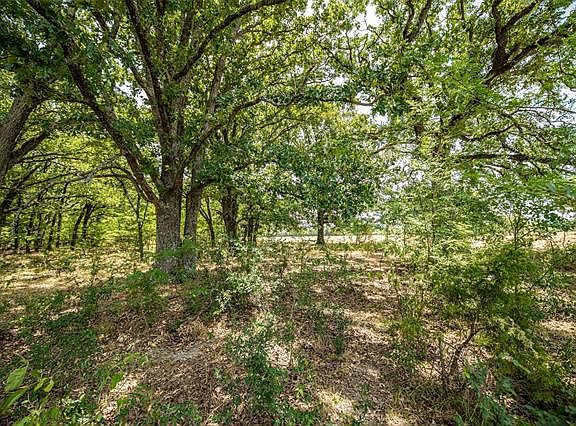 3rd image of County Road 4588