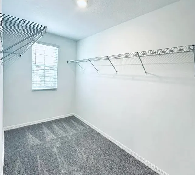 11524 Radiant Shore Loop — Photo 42