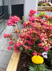 Rented by Oxford Property Group