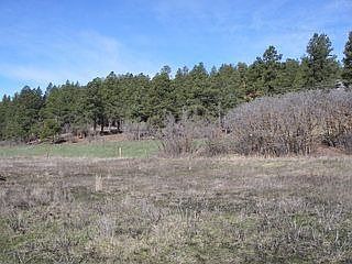 3rd image of 447 Alpine Dr