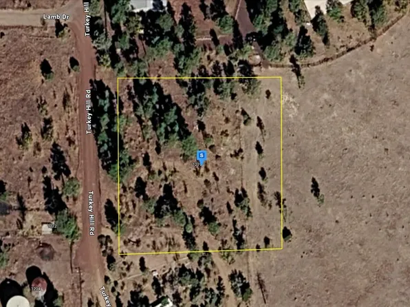 1219 TURKEY HILL Road #-, Pinedale, AZ 85934