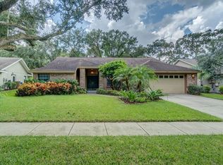 5801 Piney Lane Dr, Tampa, FL 33625