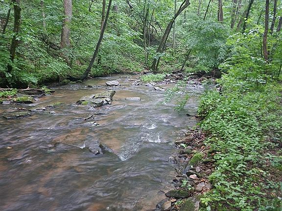4th image of 211 Northview Pkwy