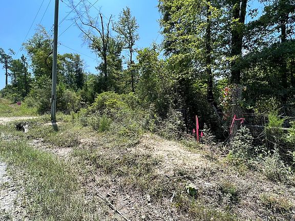 5th image of 11630 County Line Rd