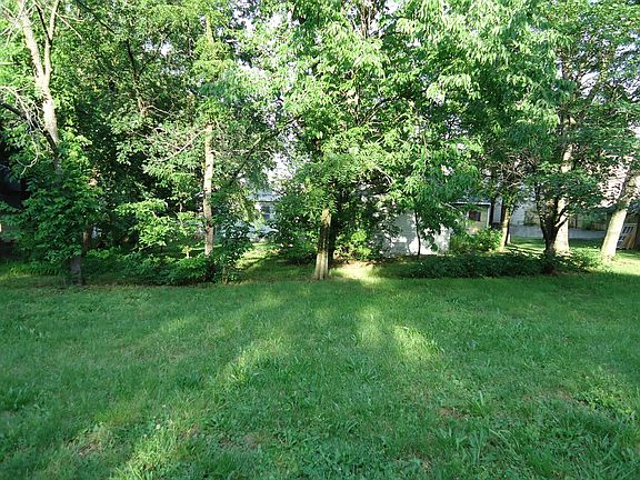 Backyard: house through tree